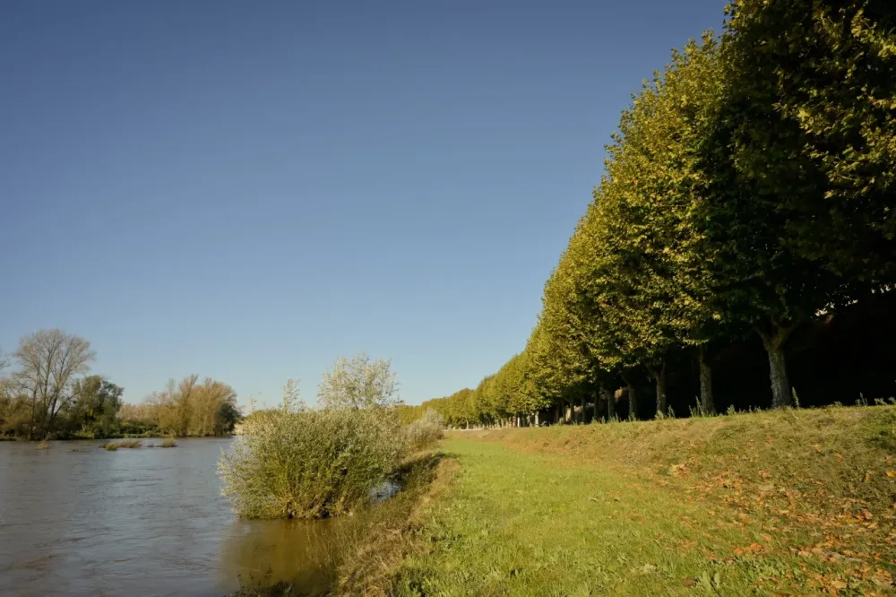 Abattage ripisylves à La Chapelle-d’Aligné